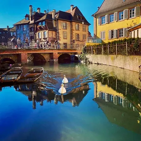 Maison 1708 - Rue Du Canard - Center Hotel Colmar