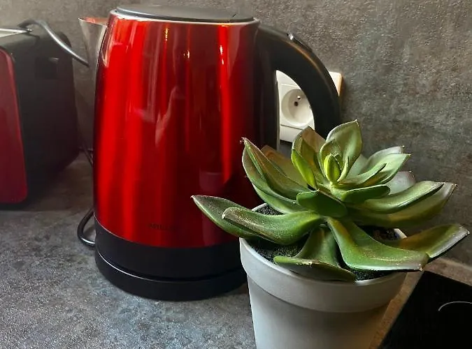 Hotel Maison 1708 - Rue Du Canard - Center *