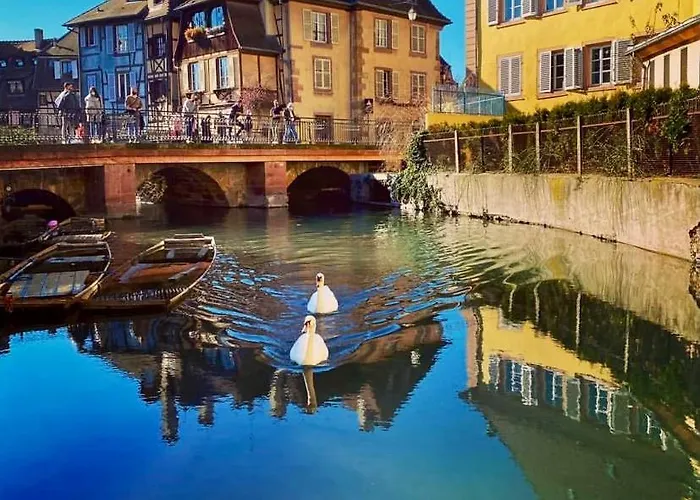 Maison 1708 - Rue Du Canard - Center Hotel Colmar